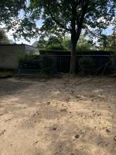 Bild zu gemeldetem Anliegen vom *2024-07-22 09:32:34