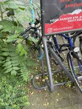 Bild zu gemeldetem Anliegen vom *2024-07-23 09:35:34