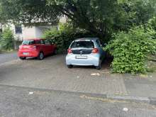 Bild zu gemeldetem Anliegen vom *2024-07-23 12:35:44