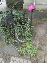 Bild zu gemeldetem Anliegen vom *2024-07-24 11:38:25