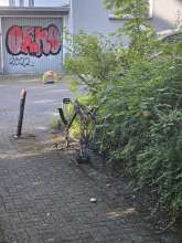 Bild zu gemeldetem Anliegen vom *2024-08-07 18:20:30