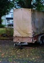 Bild zu gemeldetem Anliegen vom *2024-08-14 12:27:47