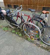 Bild zu gemeldetem Anliegen vom *2024-08-31 12:31:16