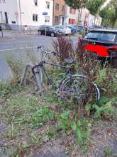 Bild zu gemeldetem Anliegen vom *2024-08-11 20:45:57