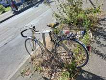 Bild zu gemeldetem Anliegen vom *2024-08-27 12:27:42