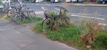Bild zu gemeldetem Anliegen vom *2024-08-11 18:28:00