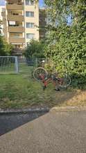 Bild zu gemeldetem Anliegen vom *2024-08-06 18:27:16