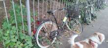 Bild zu gemeldetem Anliegen vom *2024-08-07 11:12:23