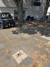 Bild zu gemeldetem Anliegen vom *2024-08-13 13:09:50