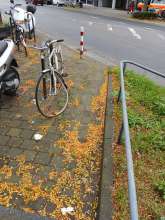 Bild zu gemeldetem Anliegen vom *2024-08-07 14:17:29