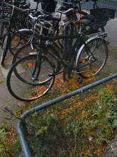 Bild zu gemeldetem Anliegen vom *2024-08-07 14:36:54