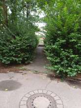 Bild zu gemeldetem Anliegen vom *2024-08-05 12:36:11