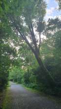 Bild zu gemeldetem Anliegen vom *2024-08-13 15:34:01