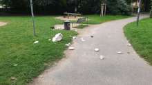 Bild zu gemeldetem Anliegen vom *2024-08-09 09:54:22