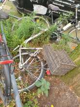 Bild zu gemeldetem Anliegen vom *2024-08-11 09:30:26