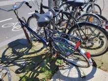 Bild zu gemeldetem Anliegen vom *2024-08-16 12:35:57