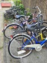 Bild zu gemeldetem Anliegen vom *2024-08-20 09:34:51