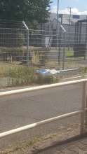 Bild zu gemeldetem Anliegen vom *2024-08-25 13:52:51