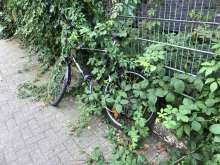 Bild zu gemeldetem Anliegen vom *2024-08-28 12:30:43