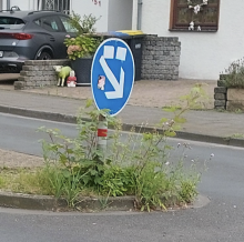 Bild zu gemeldetem Anliegen vom *2024-08-11 01:39:19