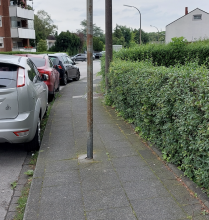 Bild zu gemeldetem Anliegen vom *2024-08-11 02:03:06