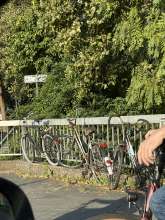 Bild zu gemeldetem Anliegen vom *2024-08-14 19:31:48