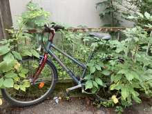 Bild zu gemeldetem Anliegen vom *2024-08-01 08:26:53