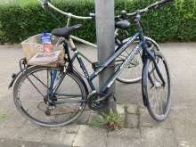 Bild zu gemeldetem Anliegen vom *2024-08-03 18:54:49