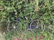 Bild zu gemeldetem Anliegen vom *2024-08-05 09:13:07