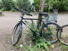 Bild zu gemeldetem Anliegen vom *2024-08-07 12:41:22