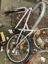 Bild zu gemeldetem Anliegen vom *2024-08-09 16:14:04