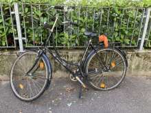 Bild zu gemeldetem Anliegen vom *2024-08-15 17:55:14