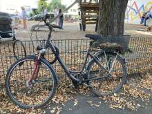 Bild zu gemeldetem Anliegen vom *2024-08-15 15:36:21