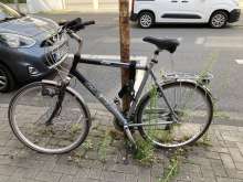 Bild zu gemeldetem Anliegen vom *2024-08-30 06:28:25