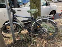 Bild zu gemeldetem Anliegen vom *2024-08-31 18:31:14