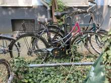 Bild zu gemeldetem Anliegen vom *2024-08-31 18:34:18