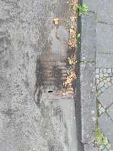 Bild zu gemeldetem Anliegen vom *2024-08-26 06:32:57