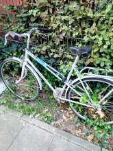 Bild zu gemeldetem Anliegen vom *2024-08-11 12:29:31