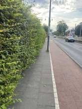 Bild zu gemeldetem Anliegen vom *2024-08-03 18:33:30