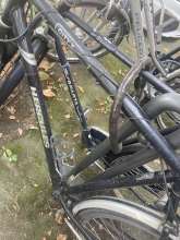 Bild zu gemeldetem Anliegen vom *2024-08-13 11:14:27