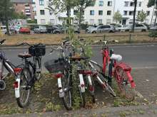 Bild zu gemeldetem Anliegen vom *2024-08-15 12:27:13