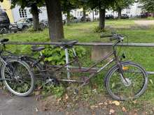 Bild zu gemeldetem Anliegen vom *2024-08-28 10:47:20