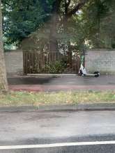 Bild zu gemeldetem Anliegen vom *2024-08-14 17:02:25