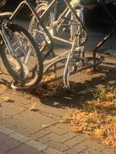 Bild zu gemeldetem Anliegen vom *2024-08-21 06:28:58