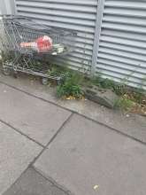 Bild zu gemeldetem Anliegen vom *2024-08-25 18:26:25