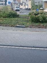 Bild zu gemeldetem Anliegen vom *2024-08-25 18:27:50