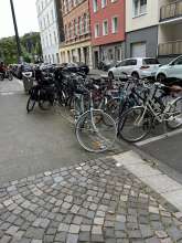 Bild zu gemeldetem Anliegen vom *2024-08-23 18:34:09