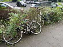 Bild zu gemeldetem Anliegen vom *2024-08-07 10:12:37