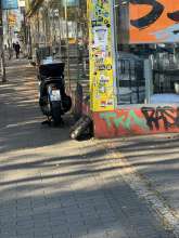Bild zu gemeldetem Anliegen vom *2024-08-23 13:47:53