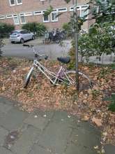 Bild zu gemeldetem Anliegen vom *2024-08-23 13:46:31